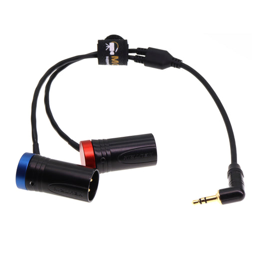 3.5 TRS Plug to Double Low-Profile XLR 3 Pin Male Y Cable for Rode Wireless GO II Dual Channel Wireless Microphone Receiver with Recorder