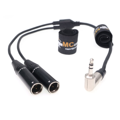 3.5 TRS Jack to Two TA3M Mini XLR 3pin Male Audio Cable for RODE GO II for Canon EOS C70 Blackmagic Camera
