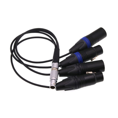 Breakout Audio Input Output Cable For Atomos Shogun Monitor Recorder 10 Pin Male To 4 XLR 3 Pin