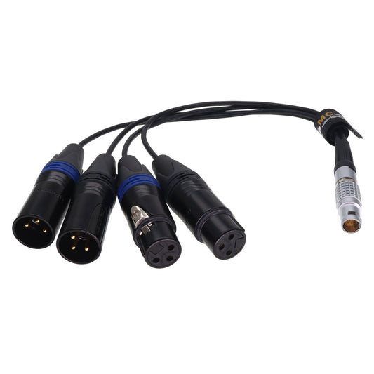 10Pin to 2X 3Pin XLR Male and 2X XLR 3 pin Female Breakout Audio Input Output Cable for Atomos Shogun Ninja Inferno Flame Monitor Recorder Audio Splitter Cable