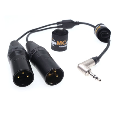 3.5 TRS Jack to Two XLR 3Pin Male Y-Cable for Rode Wireless GO II Double Channel Wireless Microphone Receiver