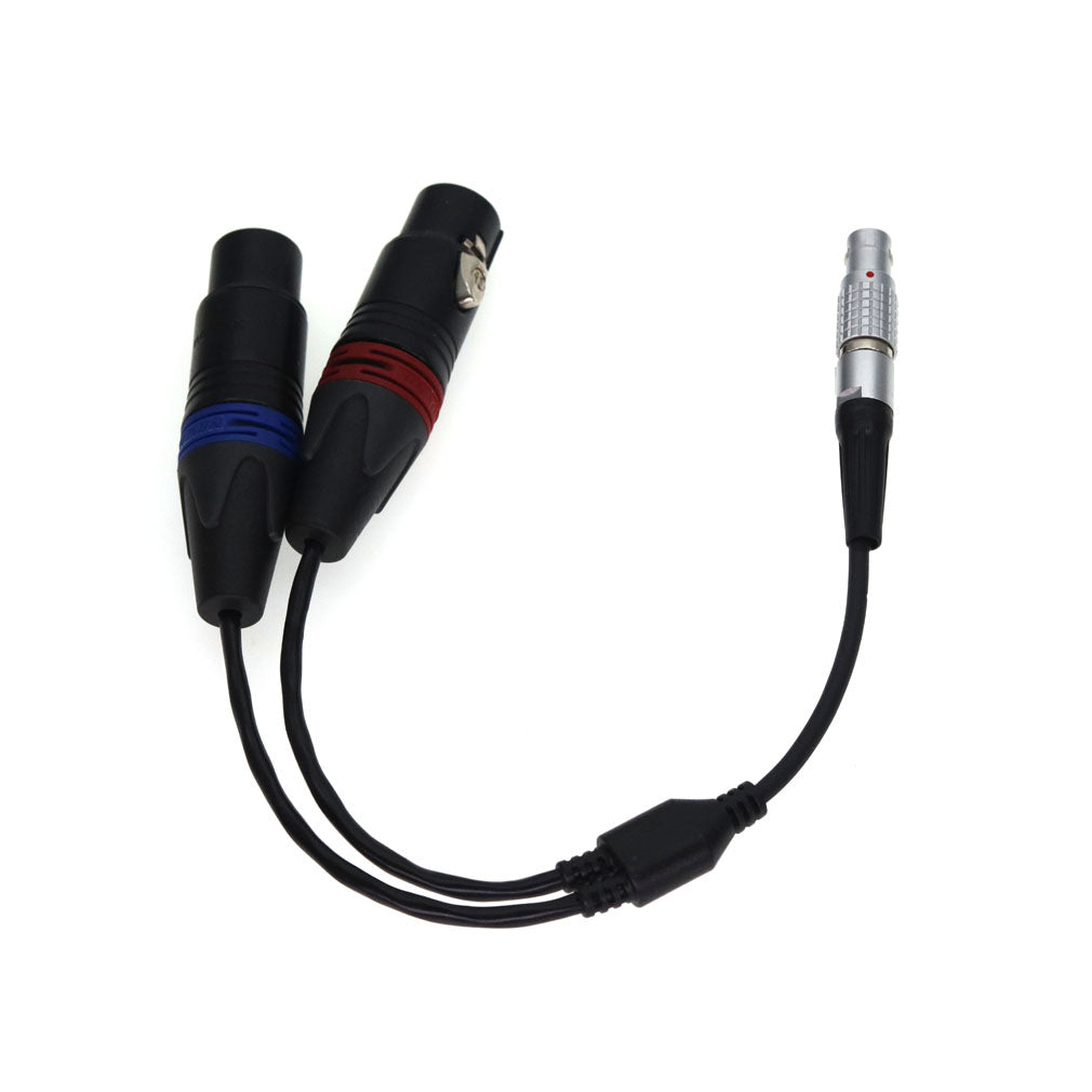 XLR Breakout Audio Input Cable For Atomos Shogun Monitor Recorder Right Angle 10 Pin To Dual XLR 3 Pin Female