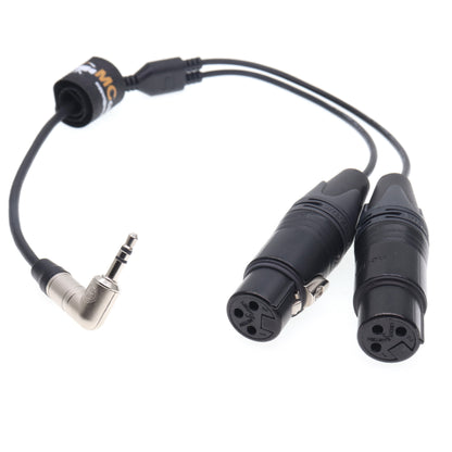 3.5mm TRS to XLR 3 Pin Two Channel Audio Cable for RØDE Wireless GO II, Sound Devices, Zoom, Tascam Recorders