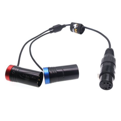 XLR 5pin Female to Dual XLR 3pin Male Connector Y-type Audio Cable for Sony ARRI Alexa Amira Camera
