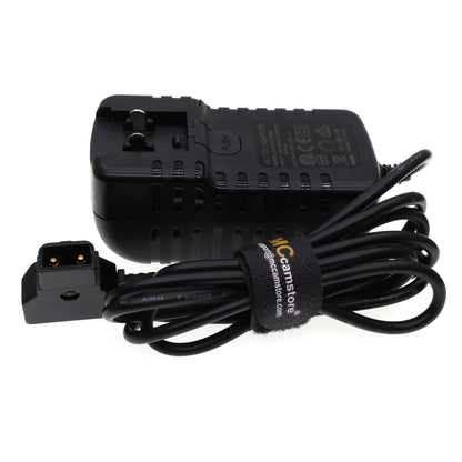 AC 110V-220V Power Adapter Converter Cable to D-tap Camera Power Cable