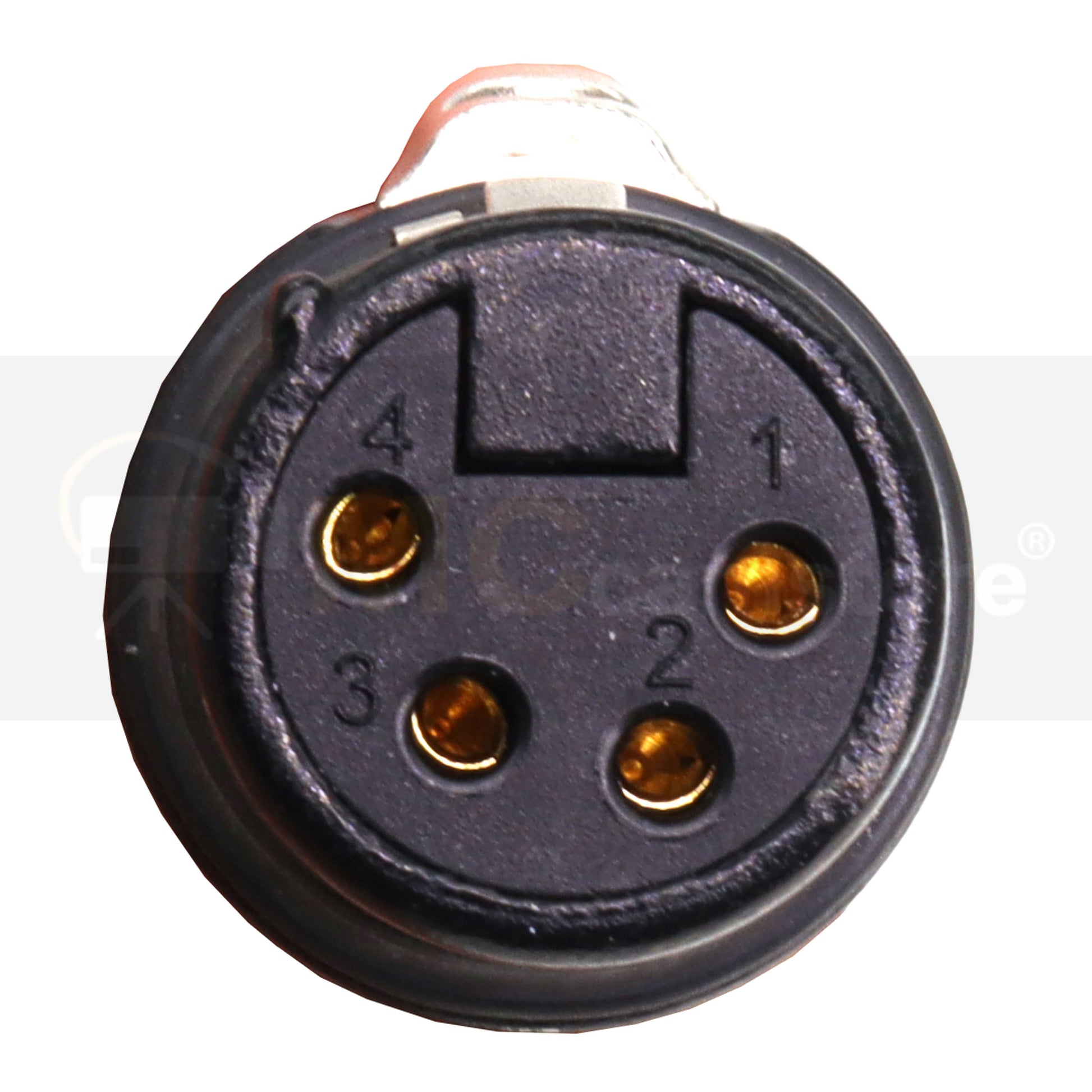 NL2FX 2 Pin to NEUTRIK XLR Female 4 Pin Power Cable