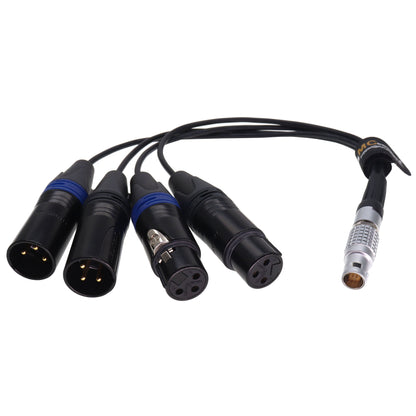 10Pin to 2X 3Pin XLR Male and 2X XLR 3 pin Female Breakout Audio Input Output Cable for Atomos Shogun Ninja Inferno Flame Monitor Recorder Audio Splitter Cable