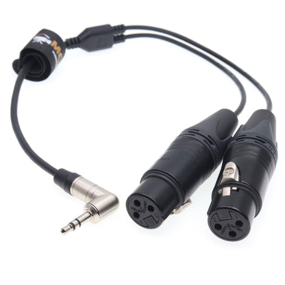 3.5mm TRS to XLR 3 Pin Two Channel Audio Cable for RØDE Wireless GO II, Sound Devices, Zoom, Tascam Recorders