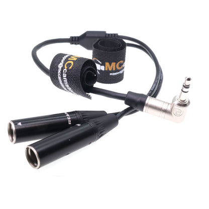 3.5 TRS Jack to Two TA3M Mini XLR 3pin Male Audio Cable for RODE GO II for Canon EOS C70 Blackmagic Camera