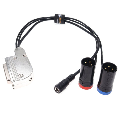 DB25 to Dual XLR 3pin Male DC Female Audio Output Cable for Sennheiser/Sony LTD Receiver