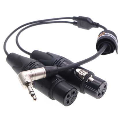 3.5mm TRS to XLR 3 Pin Two Channel Audio Cable for RØDE Wireless GO II, Sound Devices, Zoom, Tascam Recorders