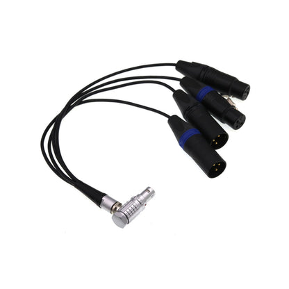 Breakout Audio Input Output Cable For Atomos Shogun Monitor Recorder 10 Pin Male To 4 XLR 3 Pin