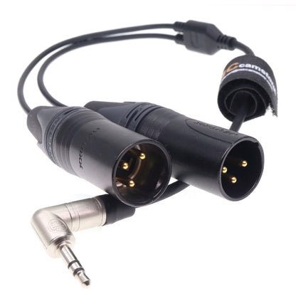 3.5mm TRS to Dual XLR 3 Pin Male Y Splitter Audio Cable for RØDE Wireless GO II MixPre Recorder Unbalanced Audio Cord Black