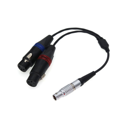 XLR Breakout Audio Input Cable For Atomos Shogun Monitor Recorder Right Angle 10 Pin To Dual XLR 3 Pin Female